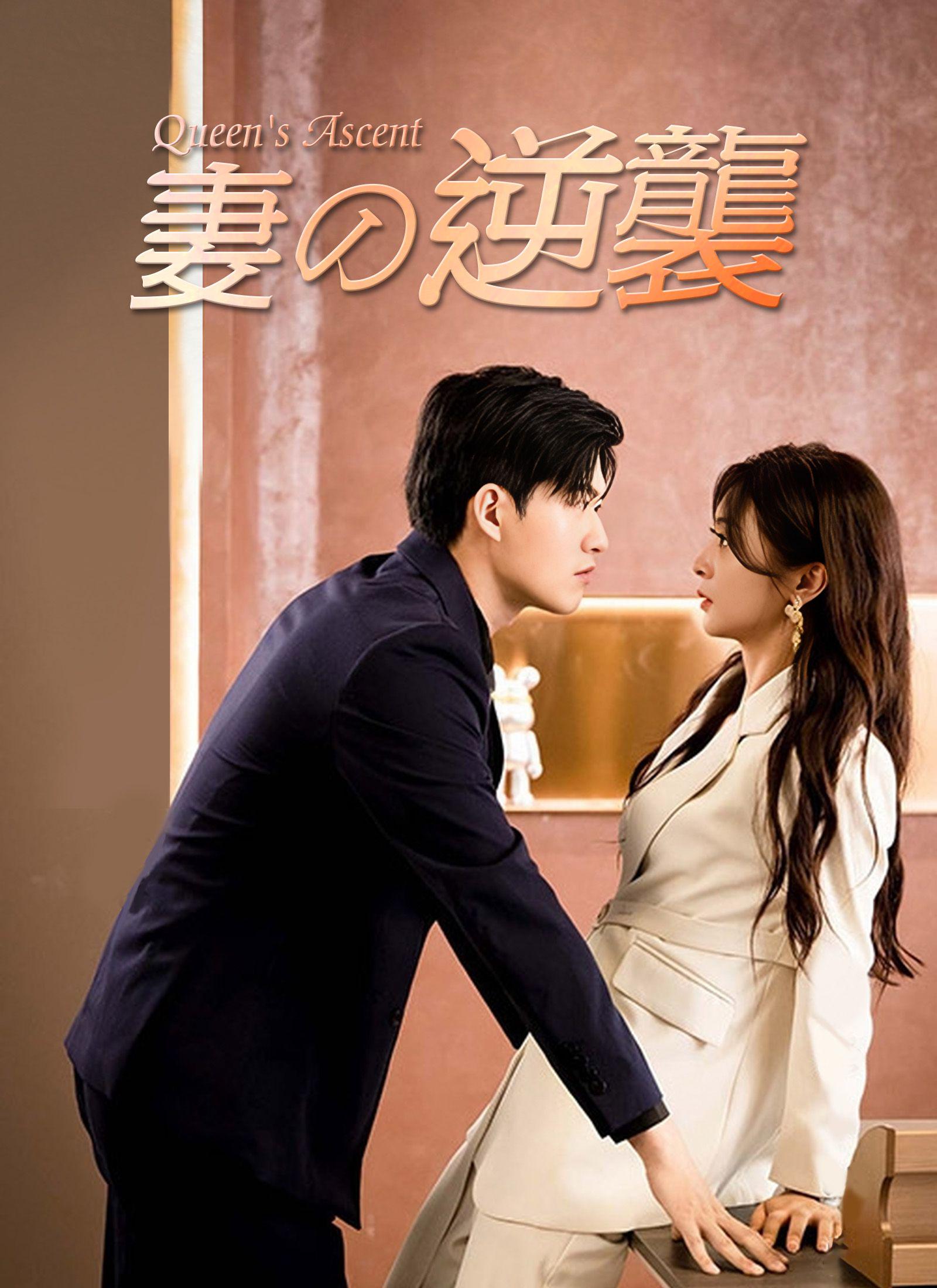 Poster The Wife’s Counterattack
