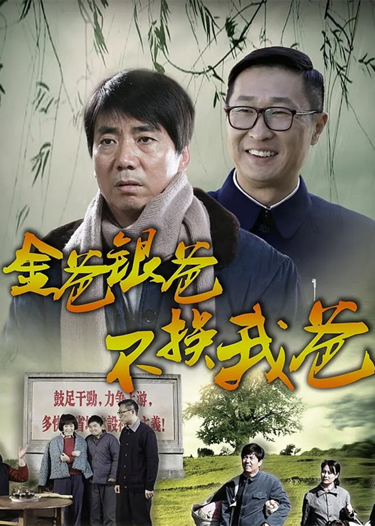 金爸银爸不换我爸-封面2