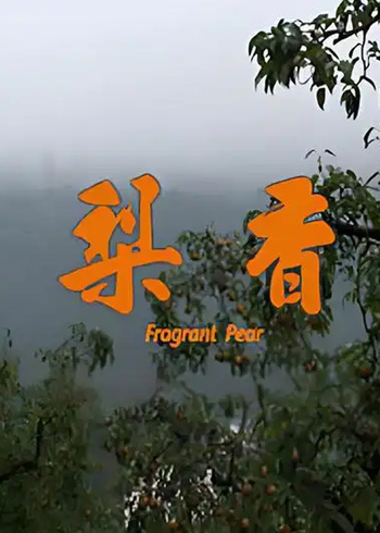 梨香封面图