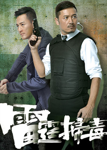 雷霆扫毒普通话版