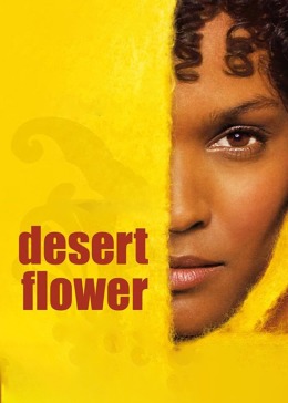 沙漠之花