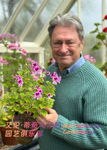 艾伦·蒂奇马什的园艺俱乐部