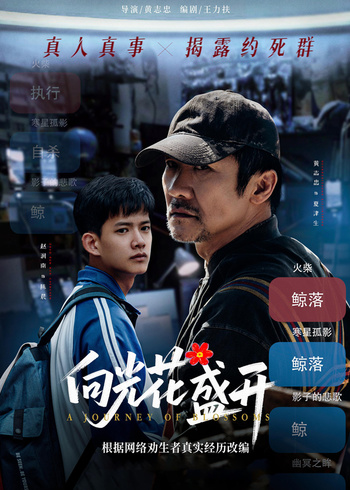 向光花盛开封面图