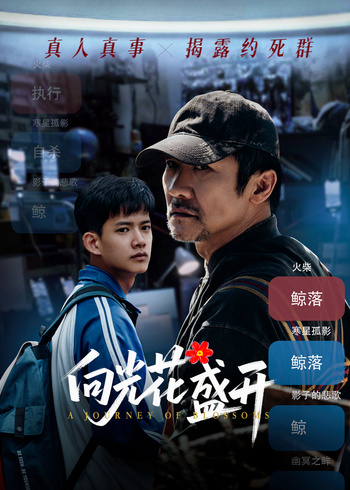 向光花盛开封面图