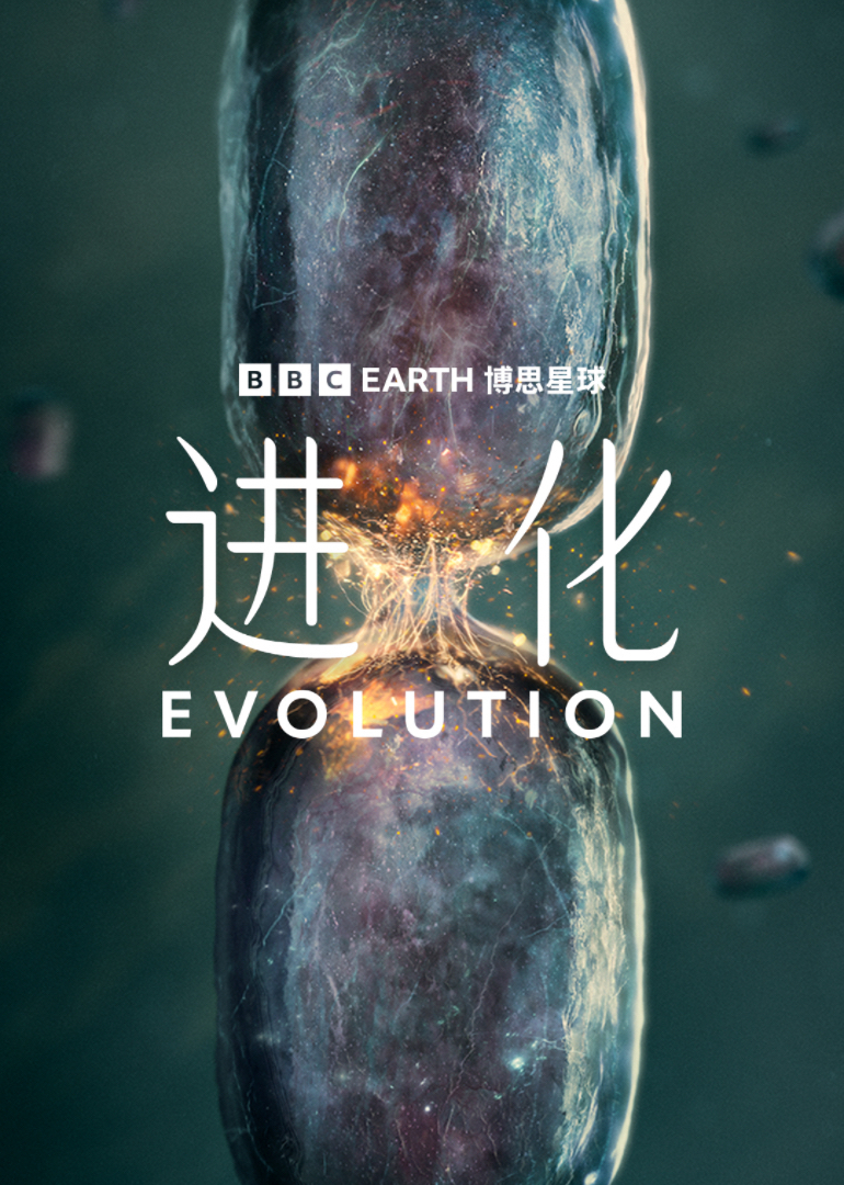 进化封面图