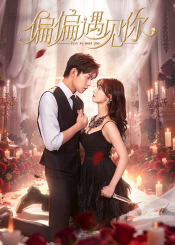 偏偏遇见你封面图