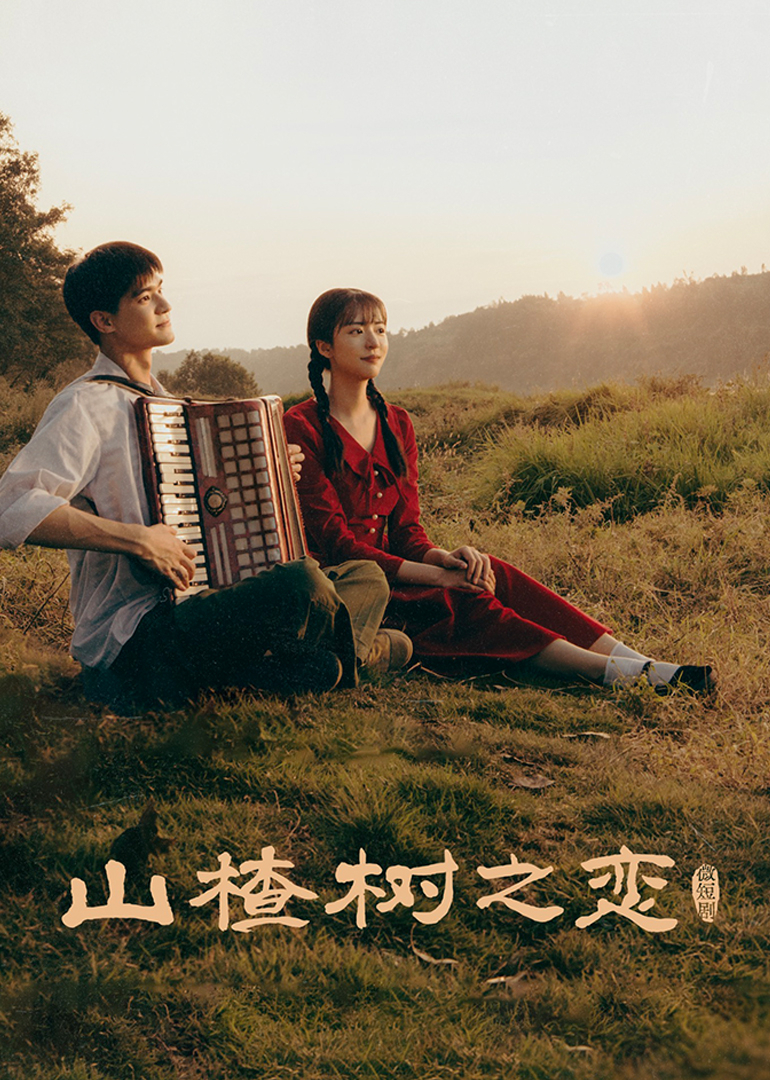 山楂树之恋 4K[臻彩]