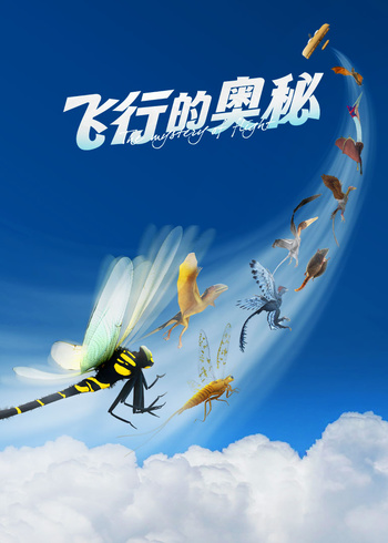 飞行的奥秘