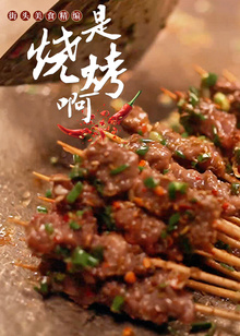 是烧烤啊街头美食精编