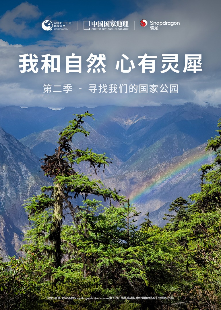 海报背景