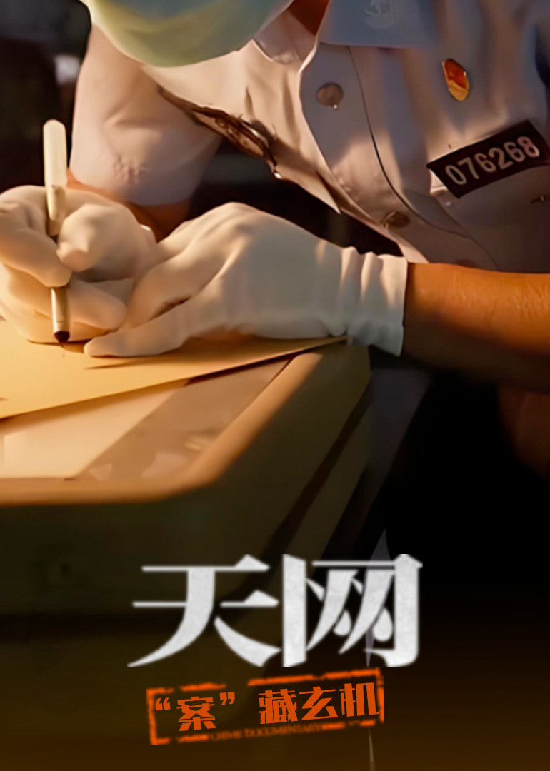天网：“案”藏玄机