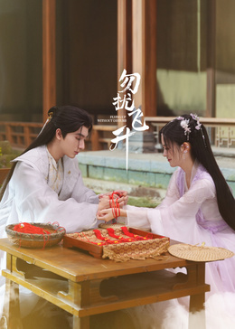 勿擾飛升