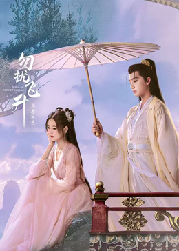 勿扰飞升封面图