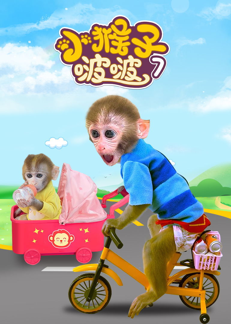 小猴子啵啵 第7季
