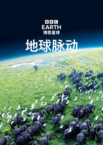 地球脉动     英语版封面图