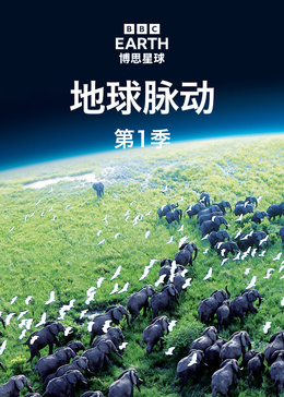 地球脉动 第1季[英语]
