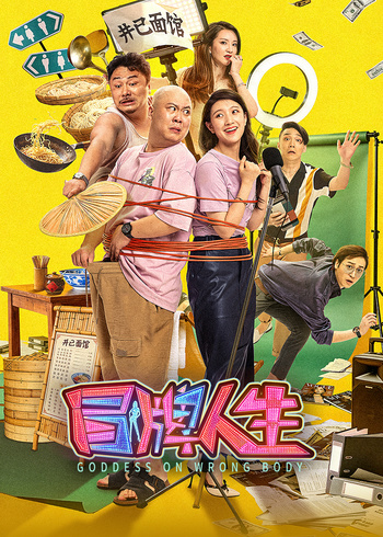 冒牌人生封面图