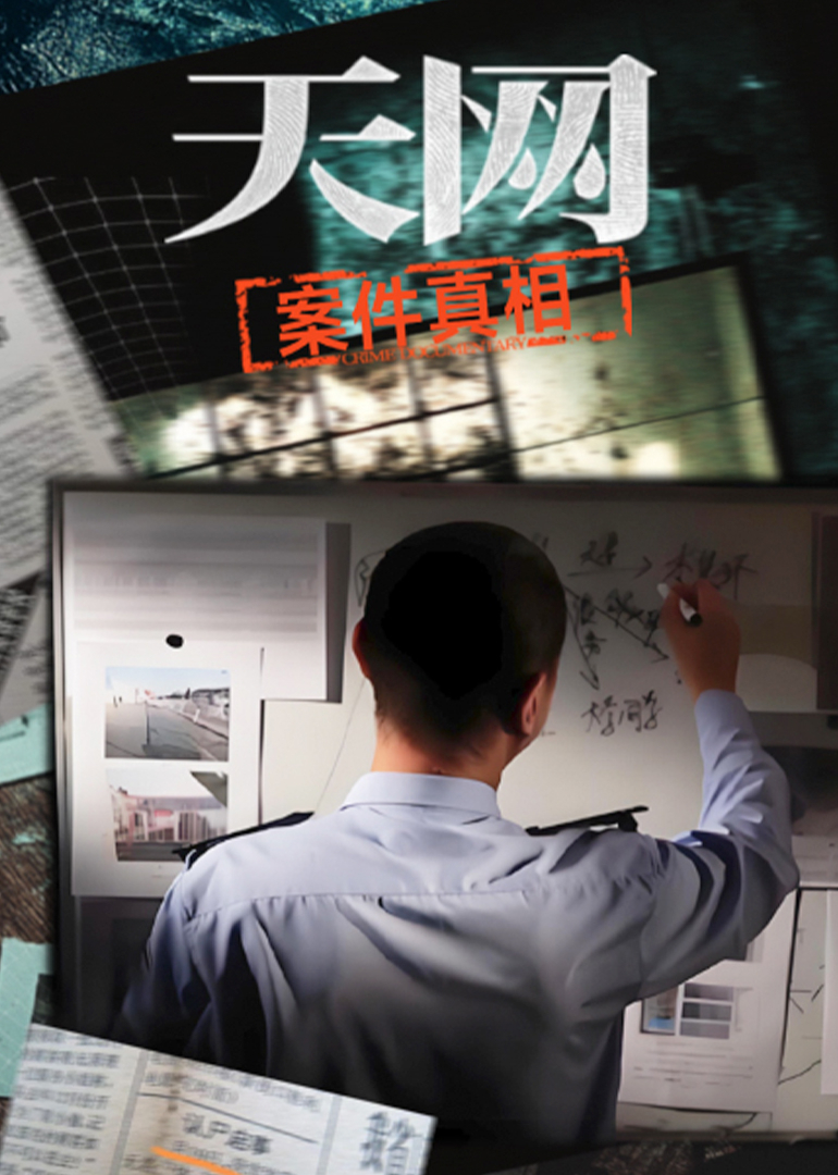 天网：案件真相
