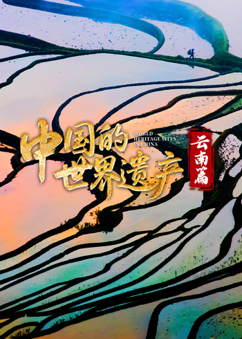 中国的世界遗产:云南篇封面图