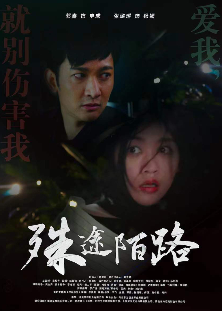 殊途陌路封面图