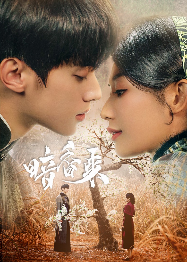 暗香来 4K[臻彩]