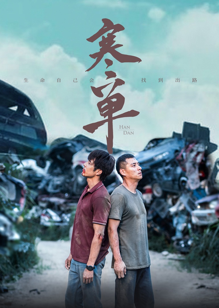寒单封面图