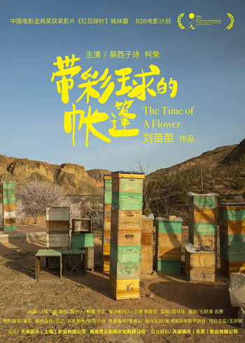 海报背景