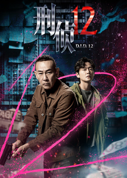 刑侦12