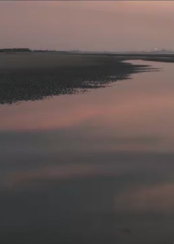 两个爸爸的故事封面图