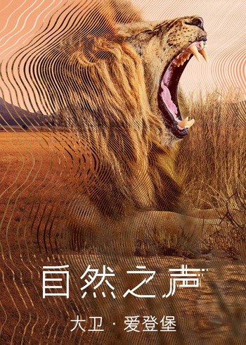 海报背景