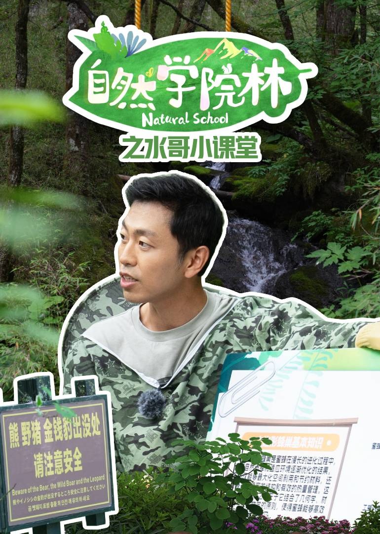 海报背景