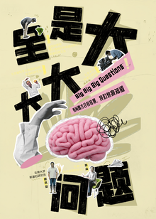 全是大问题