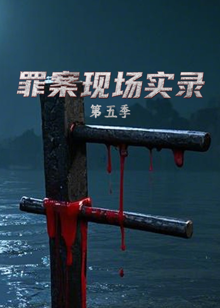 罪案现场实录 第五季