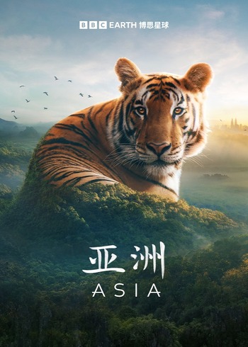 海报背景