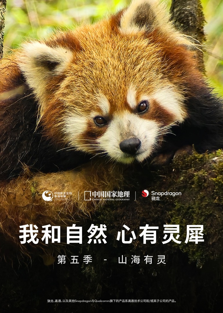 我和自然 心有灵犀 第5季：山海有灵