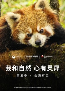 我和自然心有灵犀第五季山海有灵