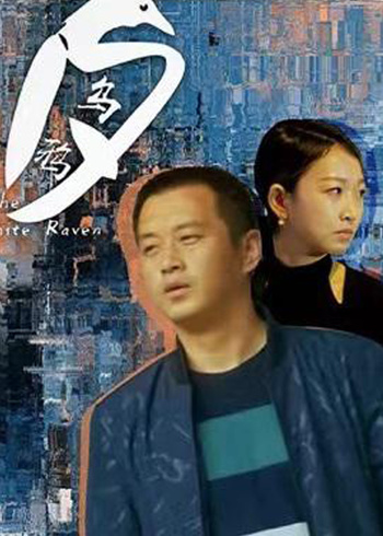 白乌鸦封面图