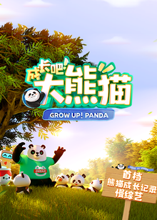 成长吧大熊猫海报