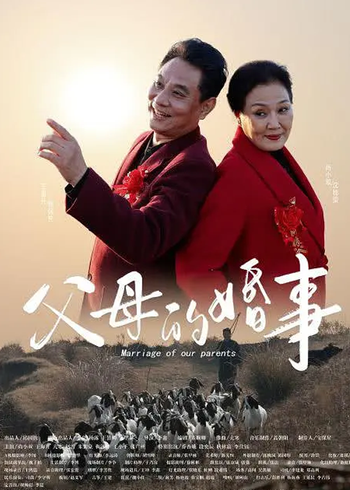 父母的婚事封面图