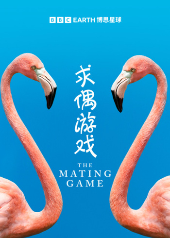 求偶游戏英