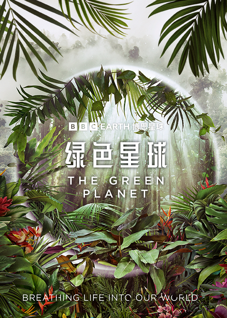 绿色星球
