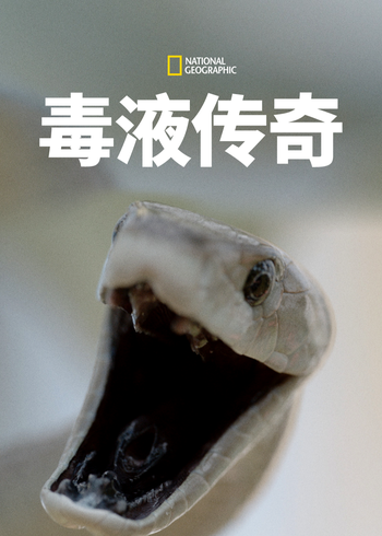 毒液传奇封面图