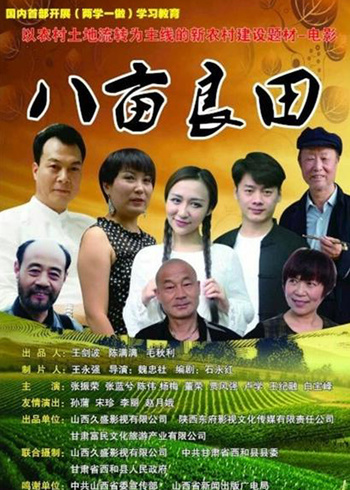 八亩良田封面图