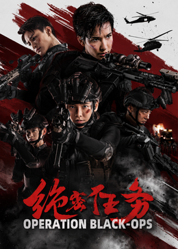 《绝密任务》海报
