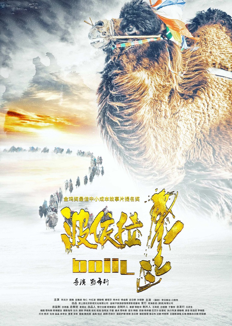 波依拉封面图