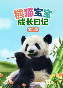 熊猫宝宝成长日记