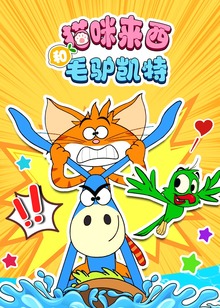 猫咪来西和毛驴凯特