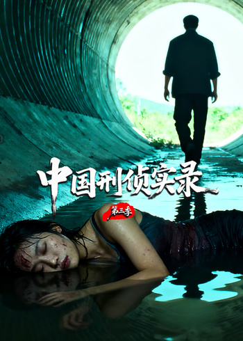 中国刑侦实录第三季