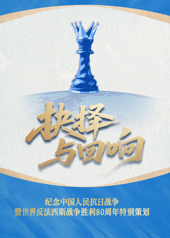 抉择与回响封面图