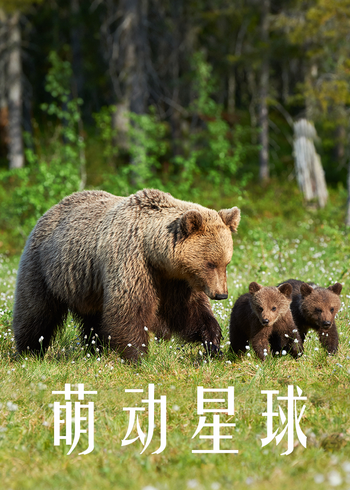 萌动星球版封面图